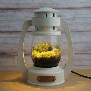 Terrarium Lantern [Antique White]