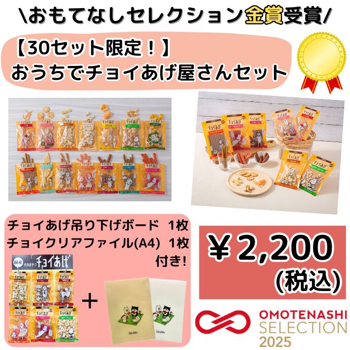 【おもてなしセレクション金賞受賞】【数量・期間限定】お家でチョイあげ屋さんセット