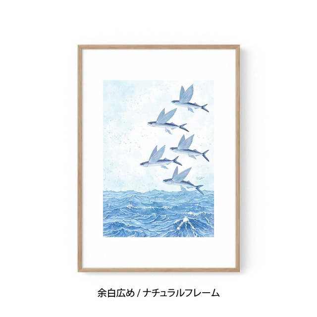 A1｜魚翔海図（ぎょしょうかいず）（フレームあり）