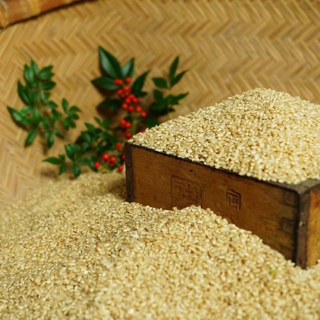 清家農園 錦米 ひのひかり 玄米 3kg 特別栽培 高知県産 令和7年産 2025年産 お歳暮