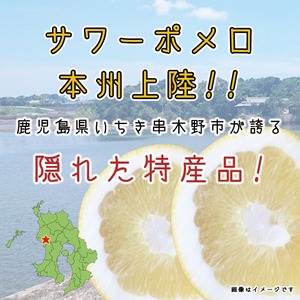 サワーポメロ　贈答用・約１０Kg　送料無料！