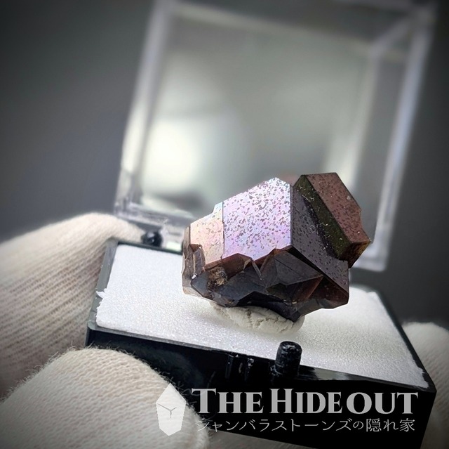 日本国産鉱物標本061 奈良県吉野郡天川村行者還岳レインボーガーネット　豪華一面パープル、断面は虹のシャワー