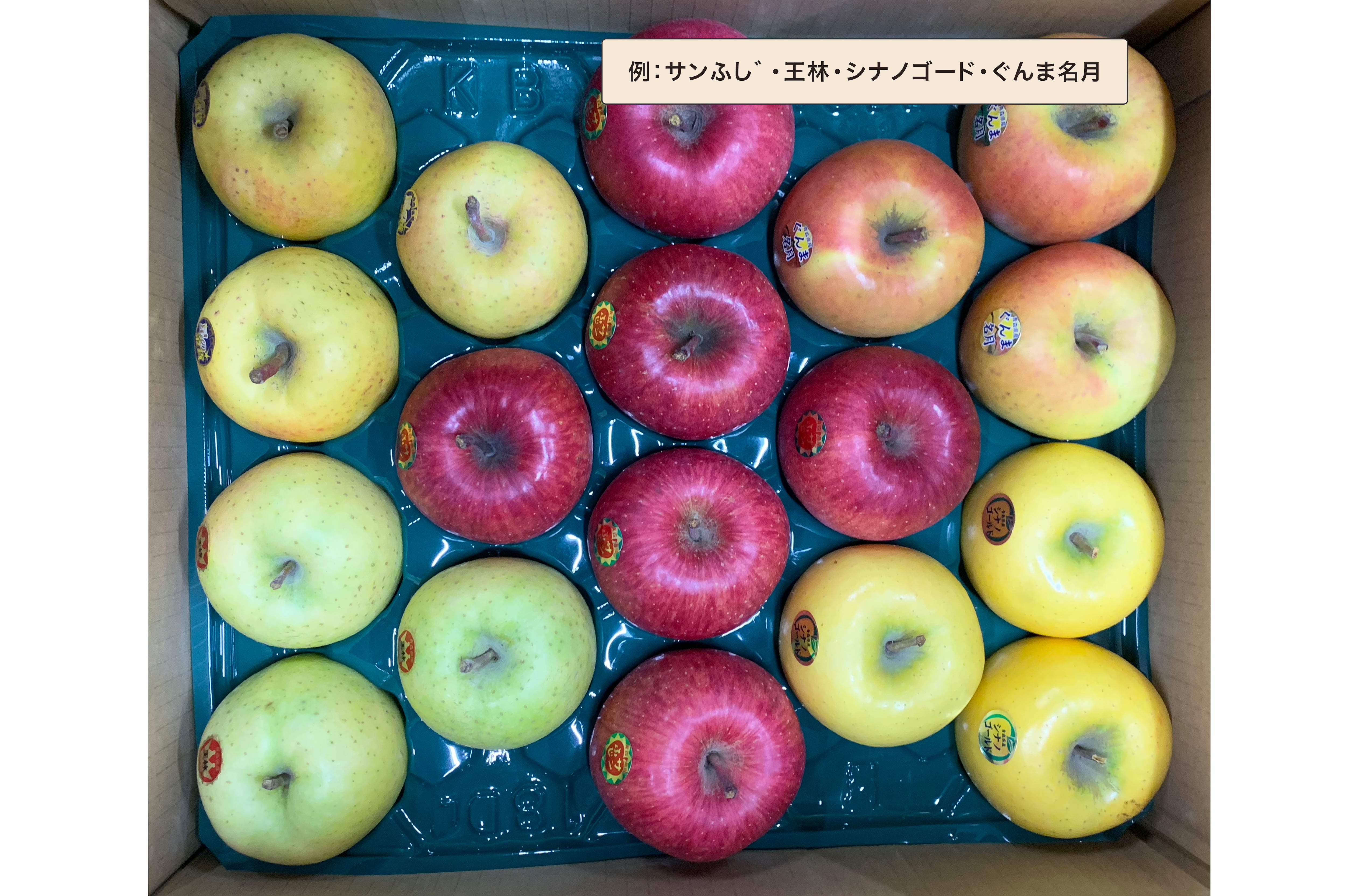 10kg】旬のりんご詰め合わせ・ご家庭用　applegifters