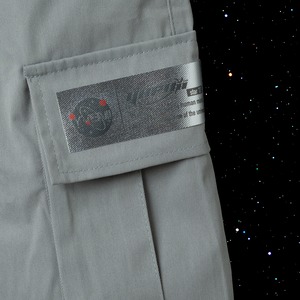 ∴ meteorite kick pants / gray