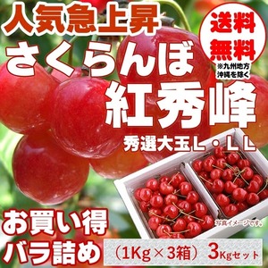 期間限定予約販売 さくらんぼ：紅秀峰 ３Kg /バラ詰 M・Lサイズ〜混合　山形県産　送料無料