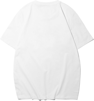 送料無料 【HIPANDA ハイパンダ】メンズ 3パンダ フロッキープリント Tシャツ MEN'S TRIO LOGO FLOCKY PRINT SHORT SLEEVED T-SHIRT / WHITE・BLACK