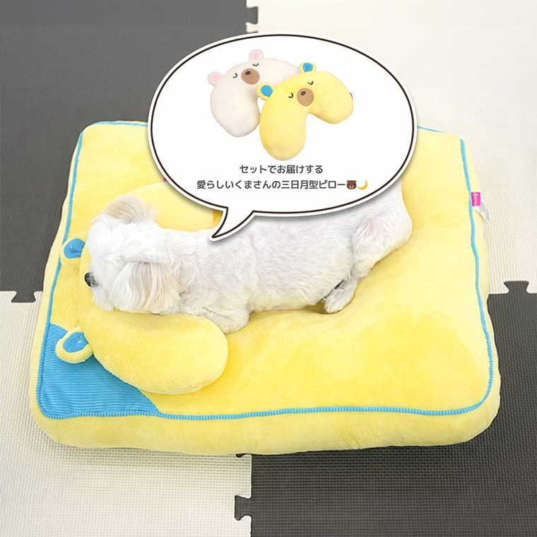 sleepy bear pillow bed 2color / 犬用 ベッド 枕 ふんわり 冬 可愛い クッション ペットマット 猫用 韓国 ペット用品 小型犬 中型犬 ハウス 高級 犬 ペットベッド