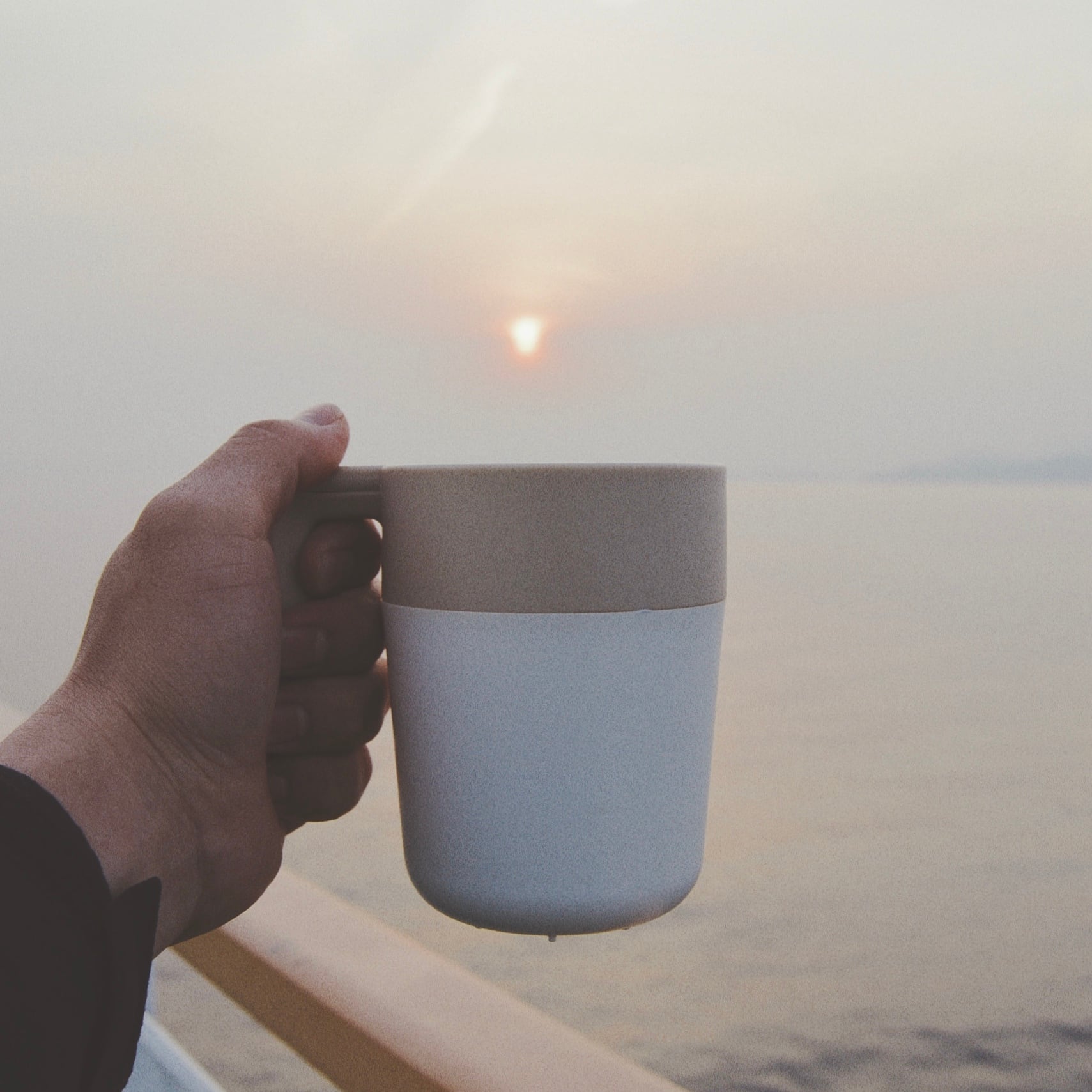 KINTO カフェプレス アイボリー | NORRY'S COFFEE ノーリーズ コーヒー