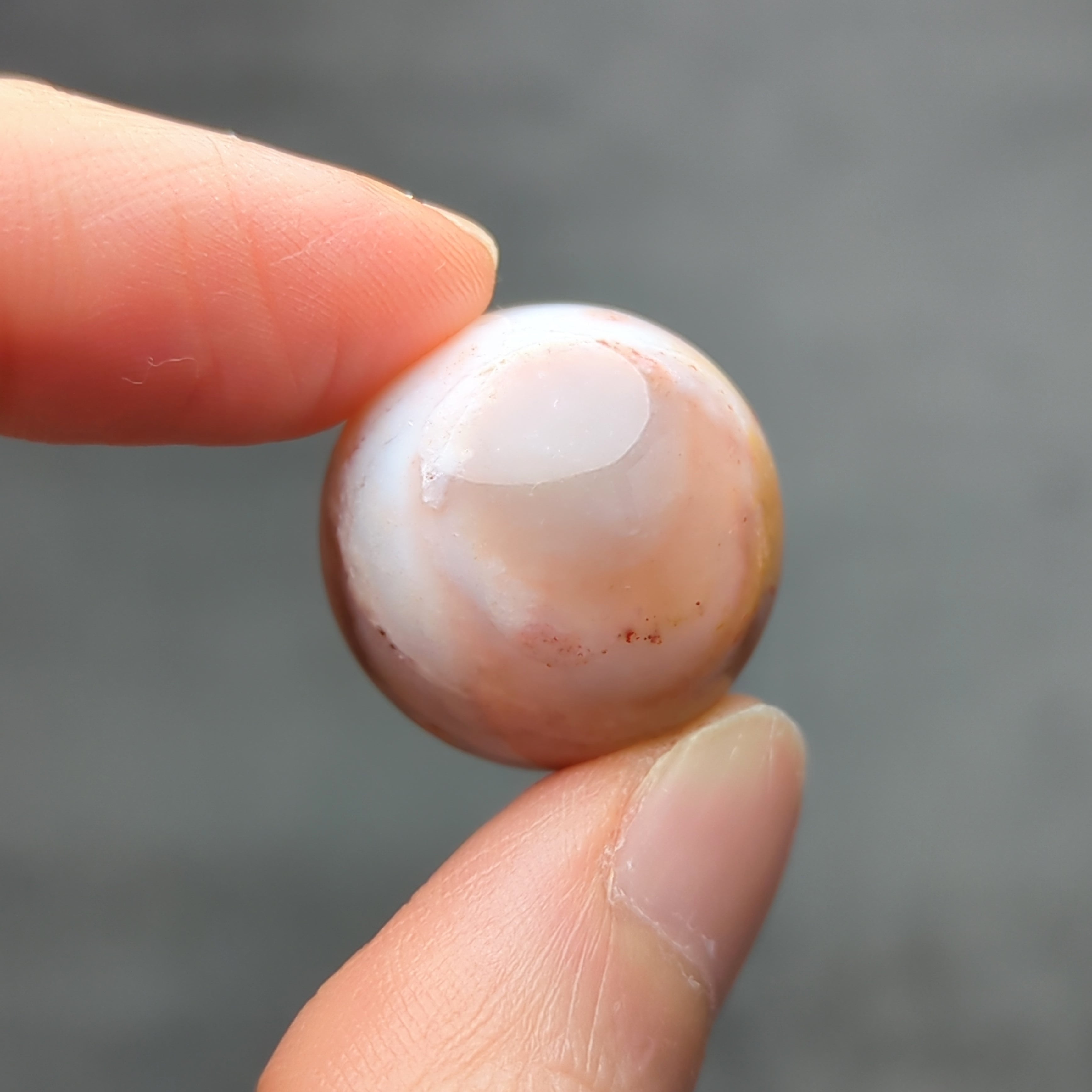 ペトリファイドウッドのミニスフィアNo.1 Φ20mm | ほしあかり 天然石のお店