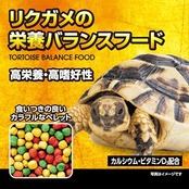 GEX EXOTERRA リクガメの栄養バランスフード 400g 毎日の健康食 高繊維質フード よく食べる 高嗜好性