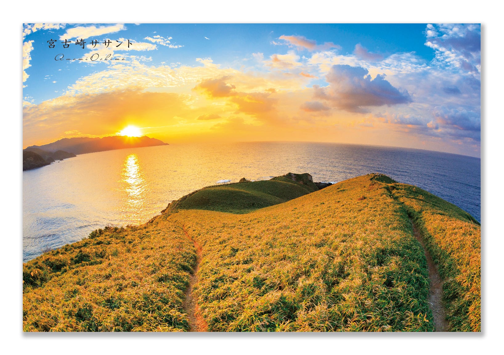 奄美ポストカード「宮古崎ササント」
