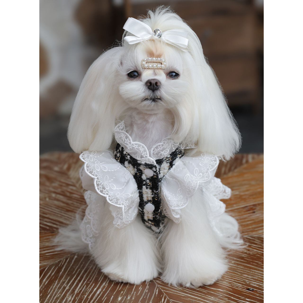 ノーブルレースツイードドレス 00616