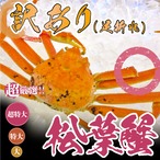 訳あり【1本足折れ】鳥取県産【松葉ガニ】800g～以上　活・ボイル選択可