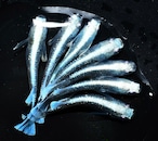 【現物】幻想シルバータイプ 3ペア+1