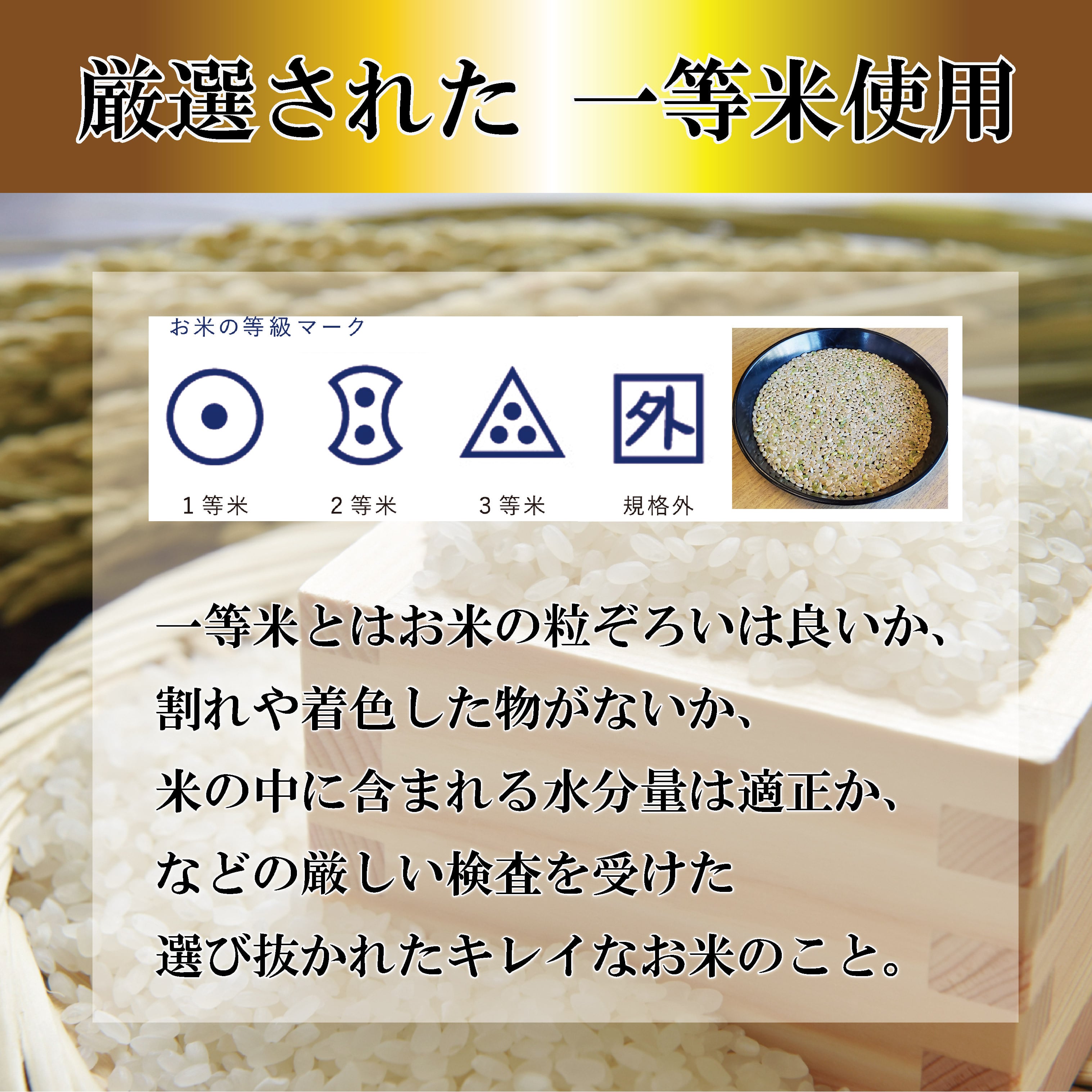 令和7年産 福島県 郡山産 ミルキークイーン 10kg（5kg×2） | みずほ食糧