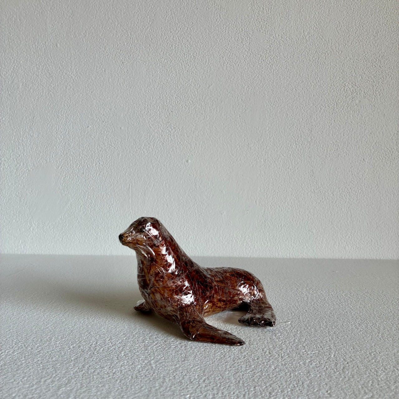 植田 楽さん／#38 ニホンアシカ