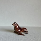 植田 楽さん／#38 ニホンアシカ