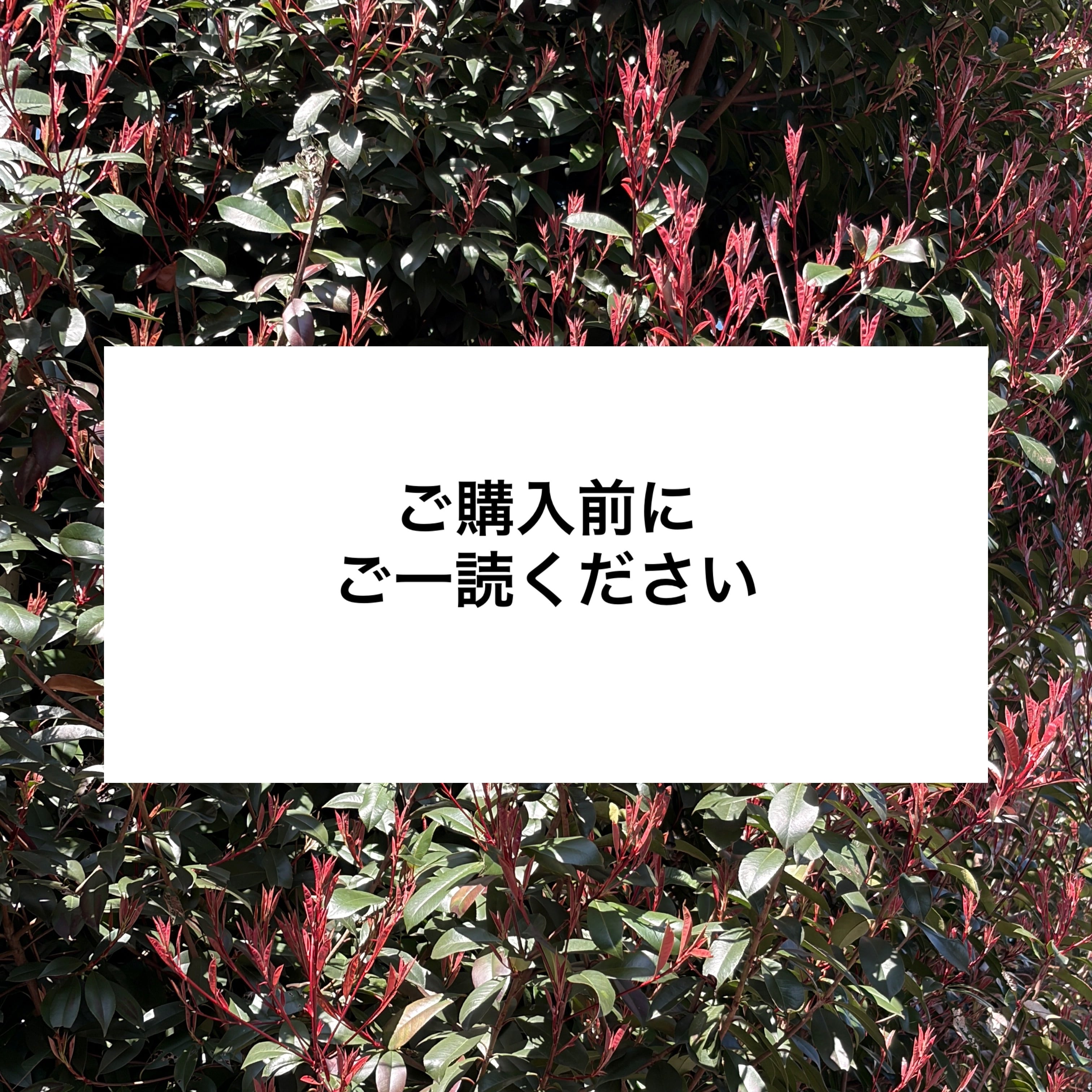 ご購入前にご一読ください。 | FREKKO LABO.