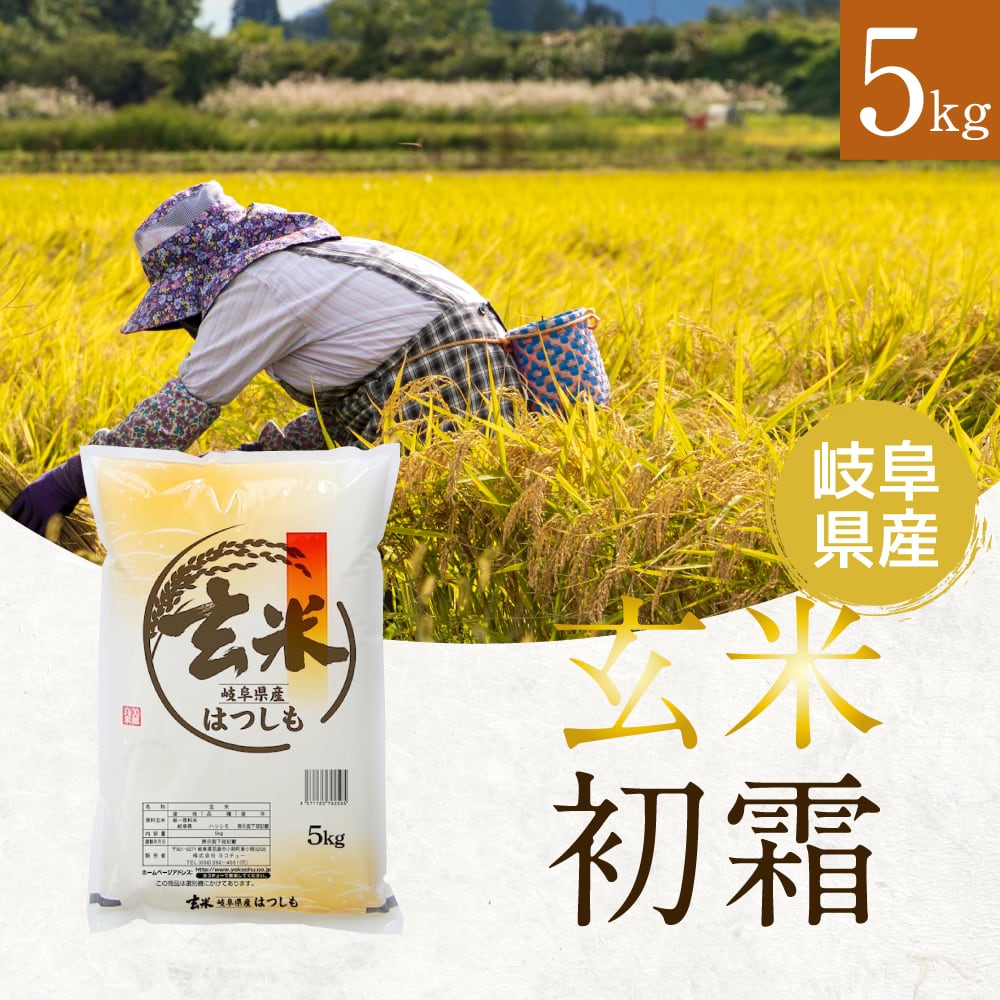 幻の米！玄米 岐阜県ハツシモ 5kg　通常栽培米【令和5年産】