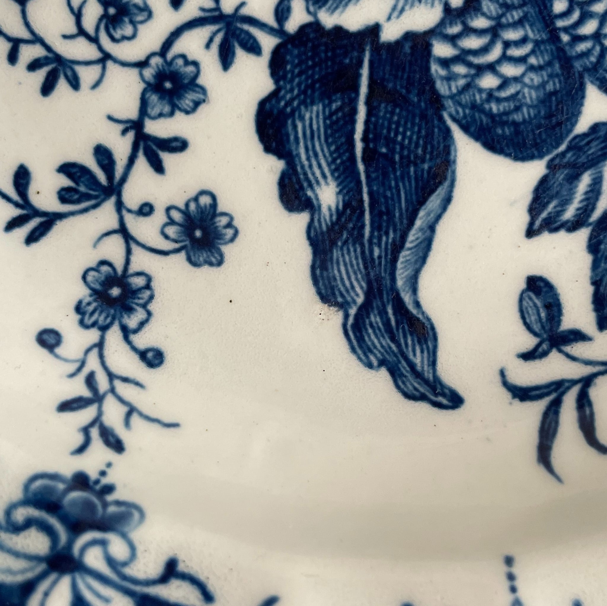 18世紀 Worcester 青花絵皿｜ウースター ドクターウォール期 | SASHIIRO
