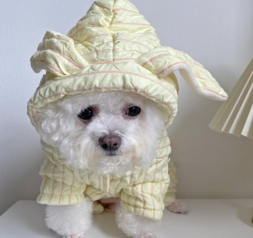 《予約》1102064 ワッフルスタイルジャンバーコート