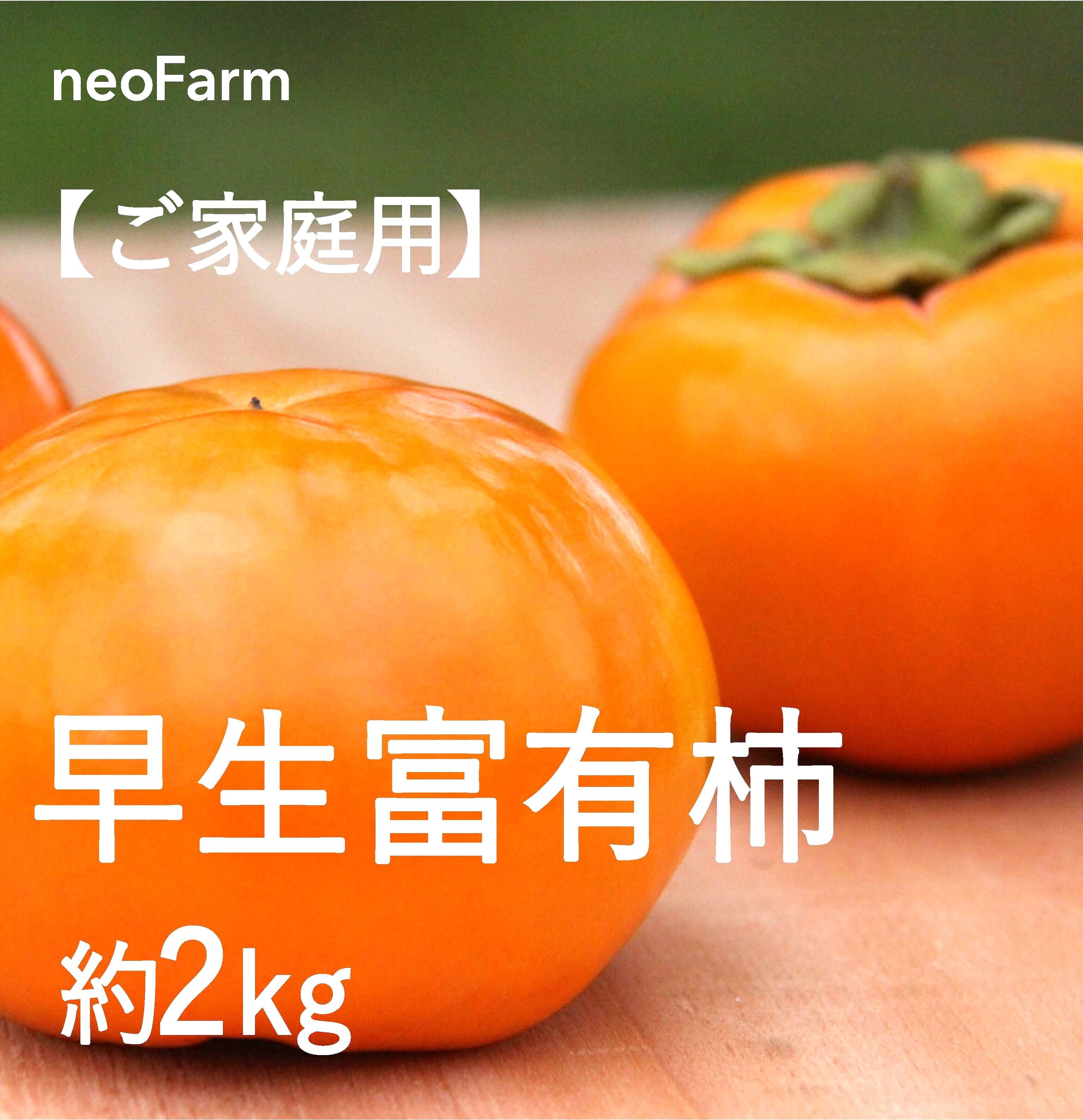 ☆岐阜県大野町産 『甘柿の王様』富有柿 約5kg ☆ | neoFarm 富有柿