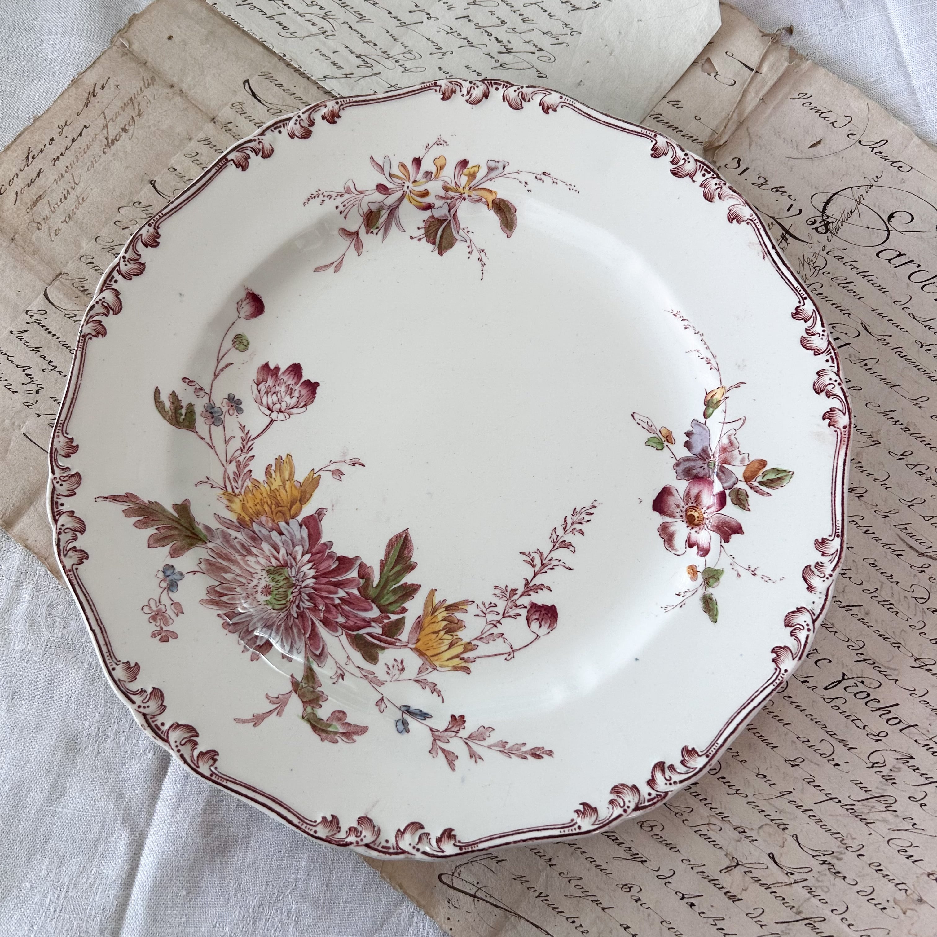 ｱﾝﾃｨｰｸ ﾎﾞﾝﾇ ｼｬﾝｽ