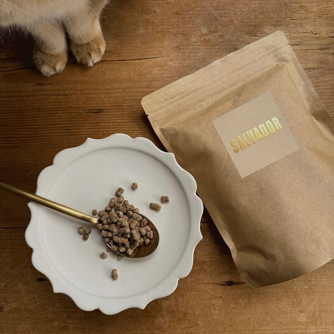 猫用ごはん４袋