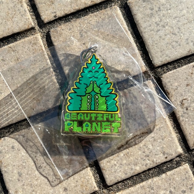 BEAUTIFUL PLANET / Key Chain Aclylice Key Ring / Design 6