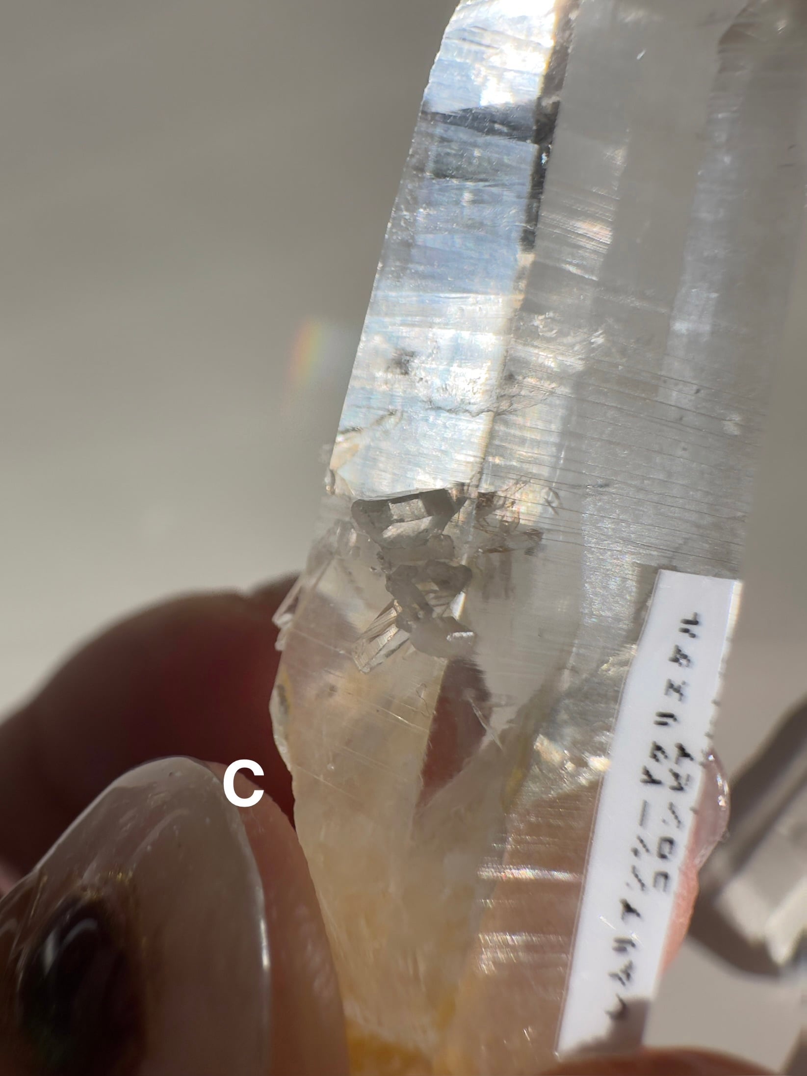 コロンビア産レムリアンシードクリスタル(貫入＆ゴールデンヒーラー)C