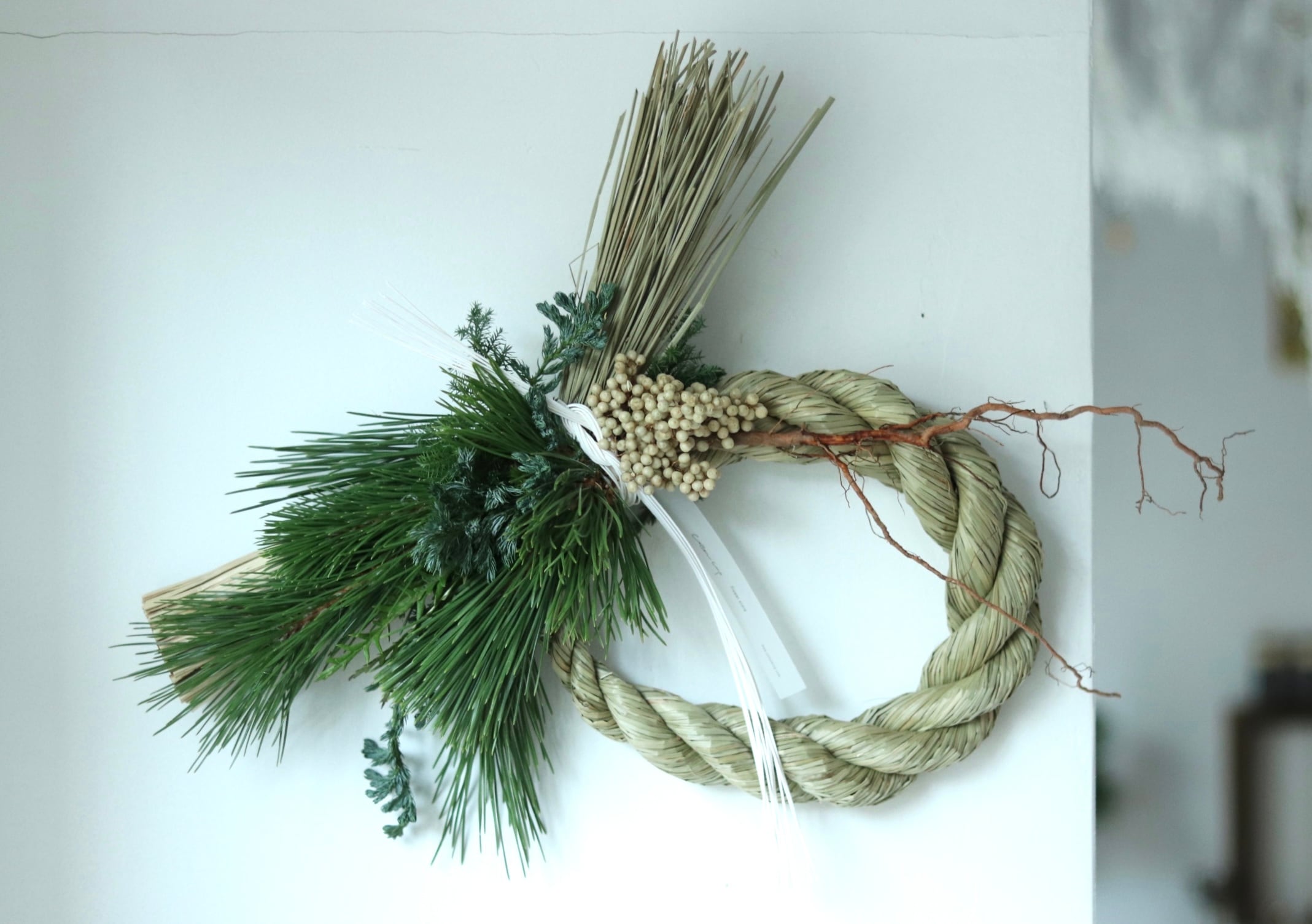 根引き松のしめ縄 白