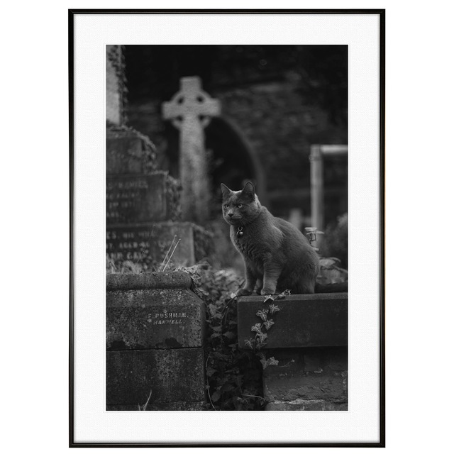 秋写真 ハロウィン インテリア モノクロ(モノトーン)アートフォトポスター額装 AS0934