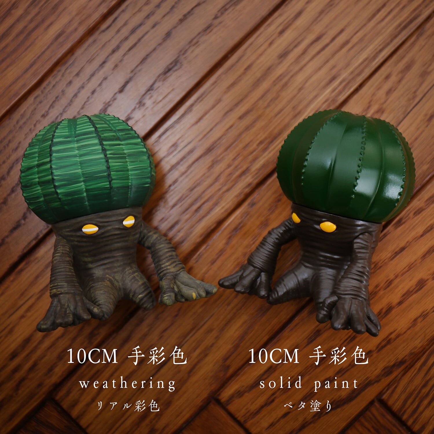 限定5体【ROOT MONSTER EUPHORBIA OBESA - ルートモンスター 限定5体【ROOT MONSTER EUPHORBIA OBESA - ルートモンスター