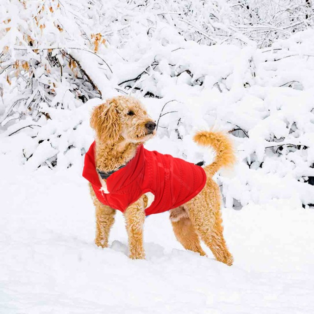 冬のペットのコートジャケット小型犬服ベストチワワプードルビションペット服衣服暖かい犬アパレル衣装 ropa ペロ