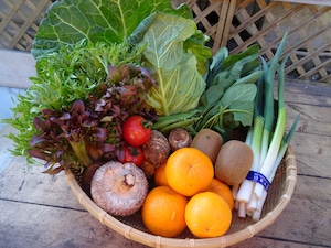 たちばな　季節の野菜・果物BOX