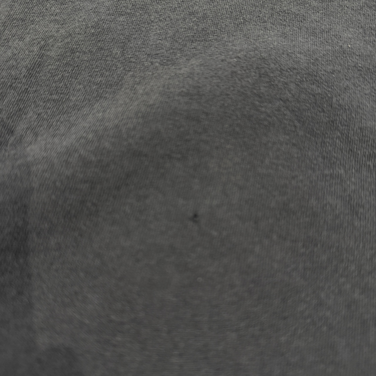 【WU-TANG CLAN】ウータンクラン WU-TANG FOREVER Vintage Tシャツ