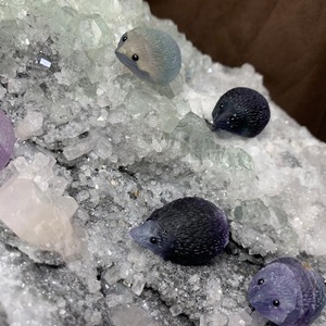 1点物！大家族ハリーが住みついている原石・大型フローライト原石クラスター