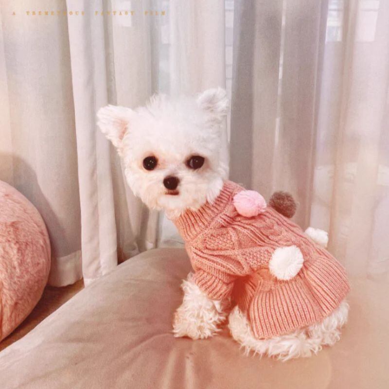 福袋 ペンダント ワンちゃん 犬 本翡翠 氷ヒスイ 透明感 誕生日