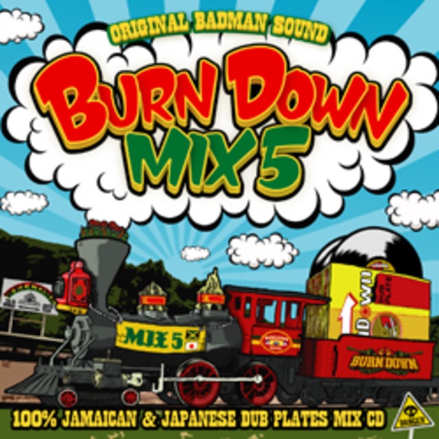 100% DUB PLATES MIX CD 【BURN DOWN MIX 5】
