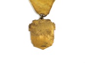 BOXING CHICAGO GOLDEN GLOVES TOURNAMENT MEDALLION❶