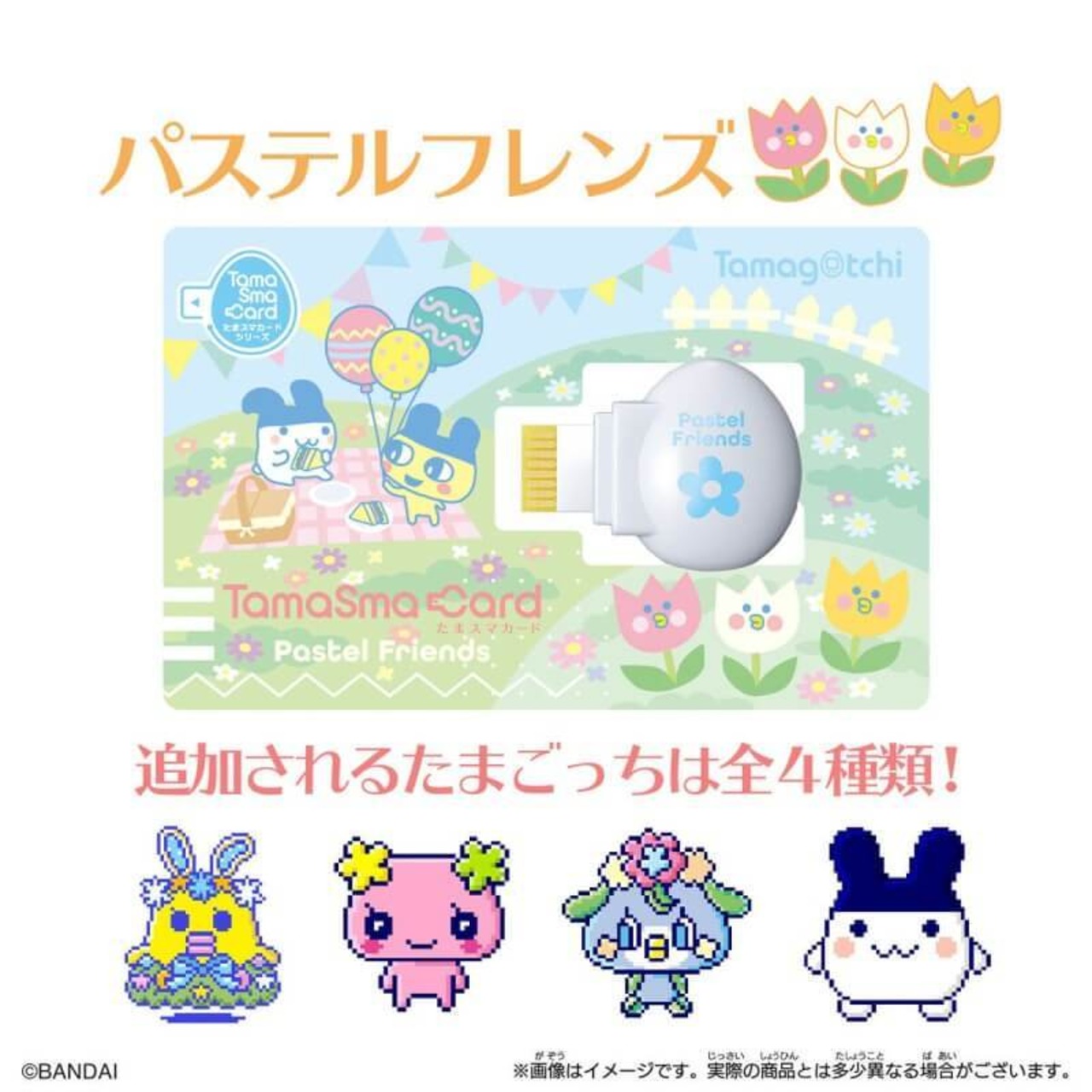 TamaSma Card TamaSmaCard たまスマカード タマスマカード たますま 