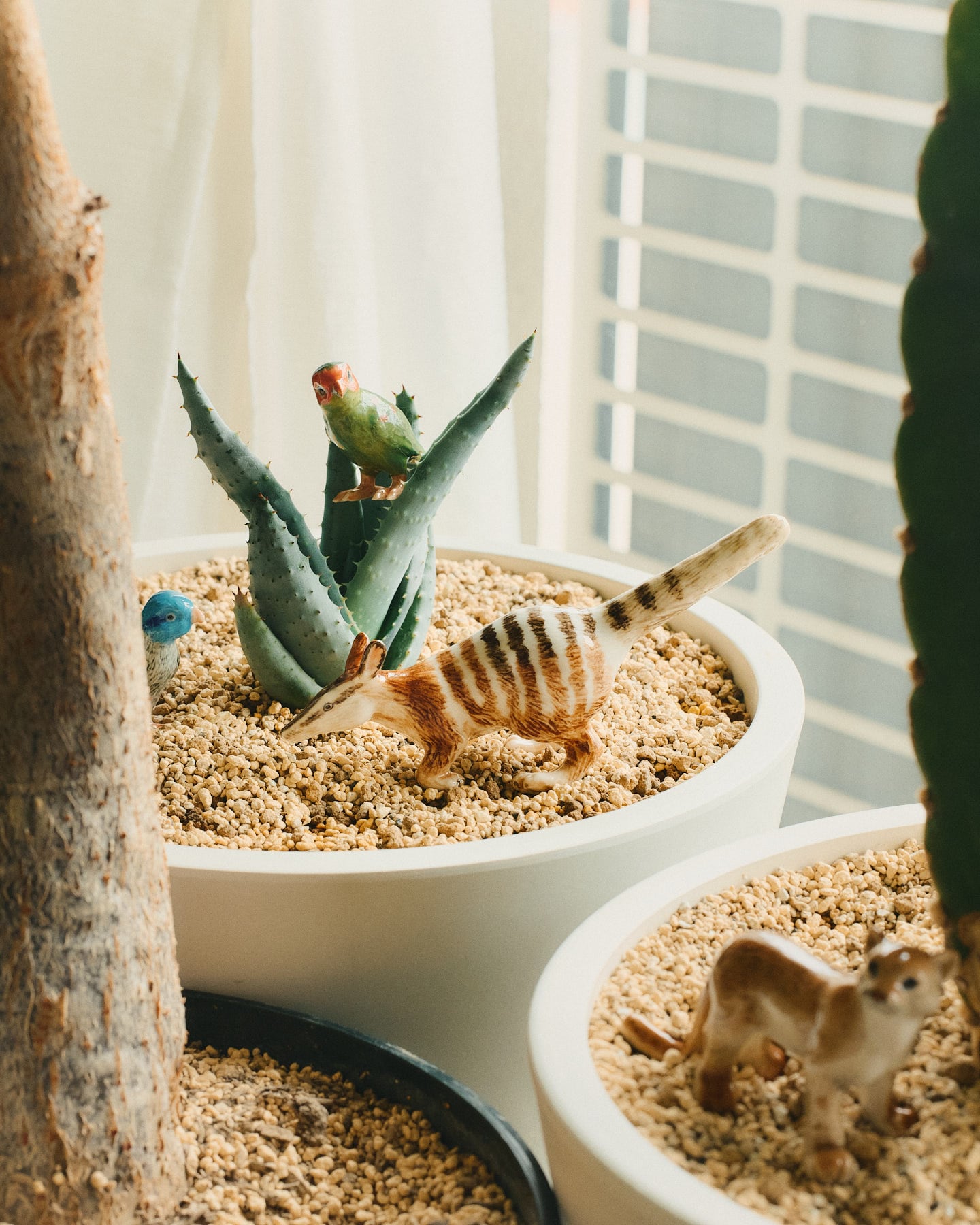 【ミニチュア陶器】 Numbat