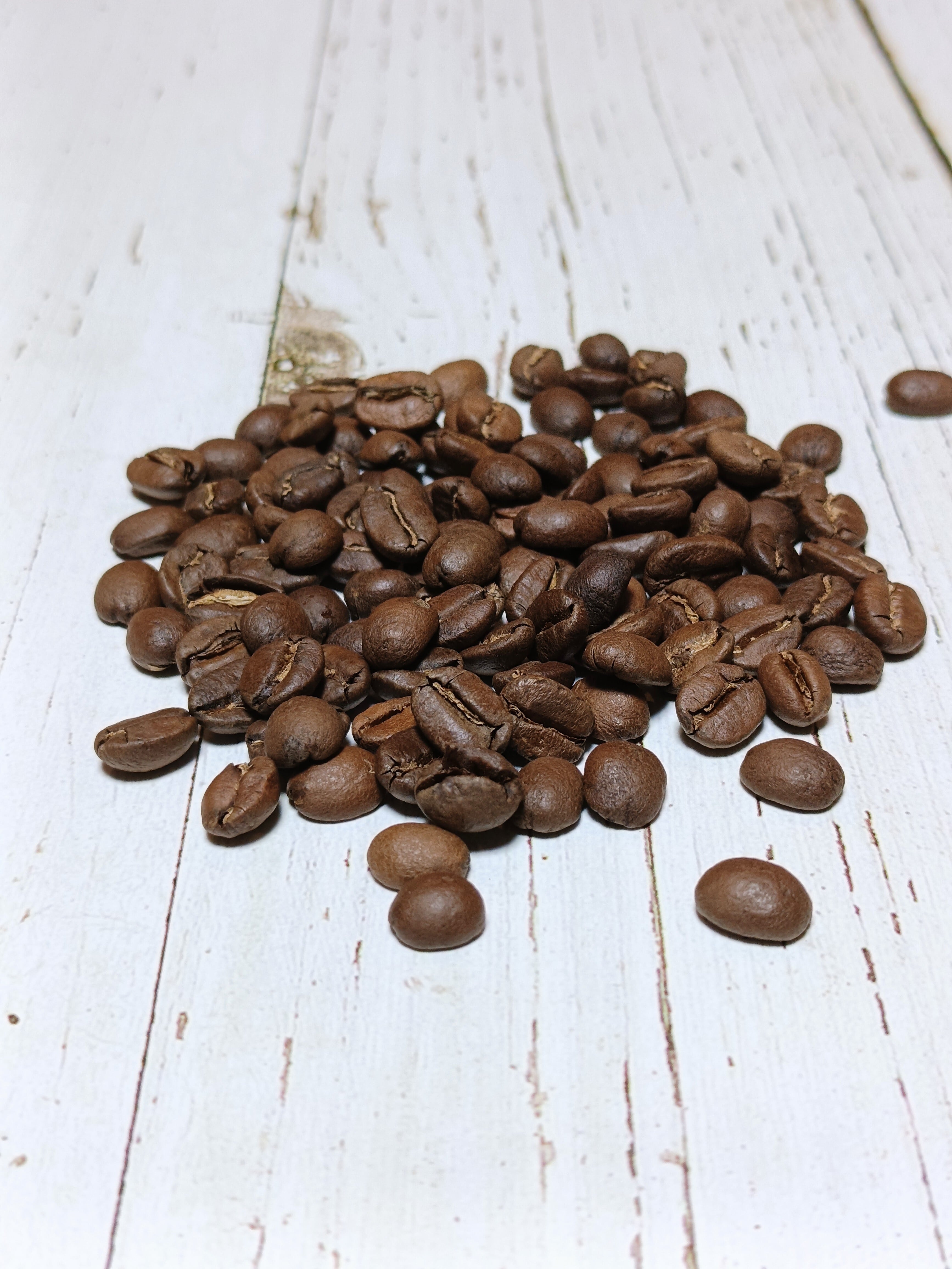 200g// ブラジル モジアナ レーズン | コーヒーノキ焙煎所 美味しくて