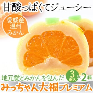 八寿みかん大福 6個入り （11/2 POP UPで紹介されました） | うに