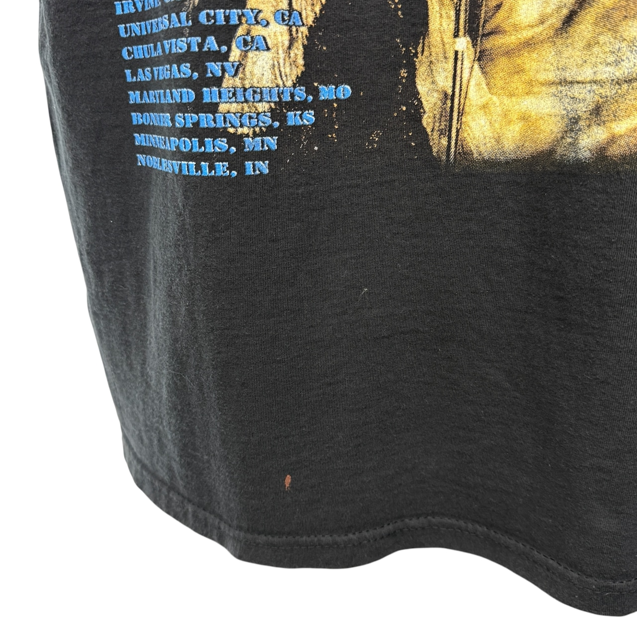 【STEVIE NICKS】スティーヴィー・ニックス "TROUBLE IN SHANGRI-LA TOUR" 00's Vintage RAPTeeデザイン Tシャツ