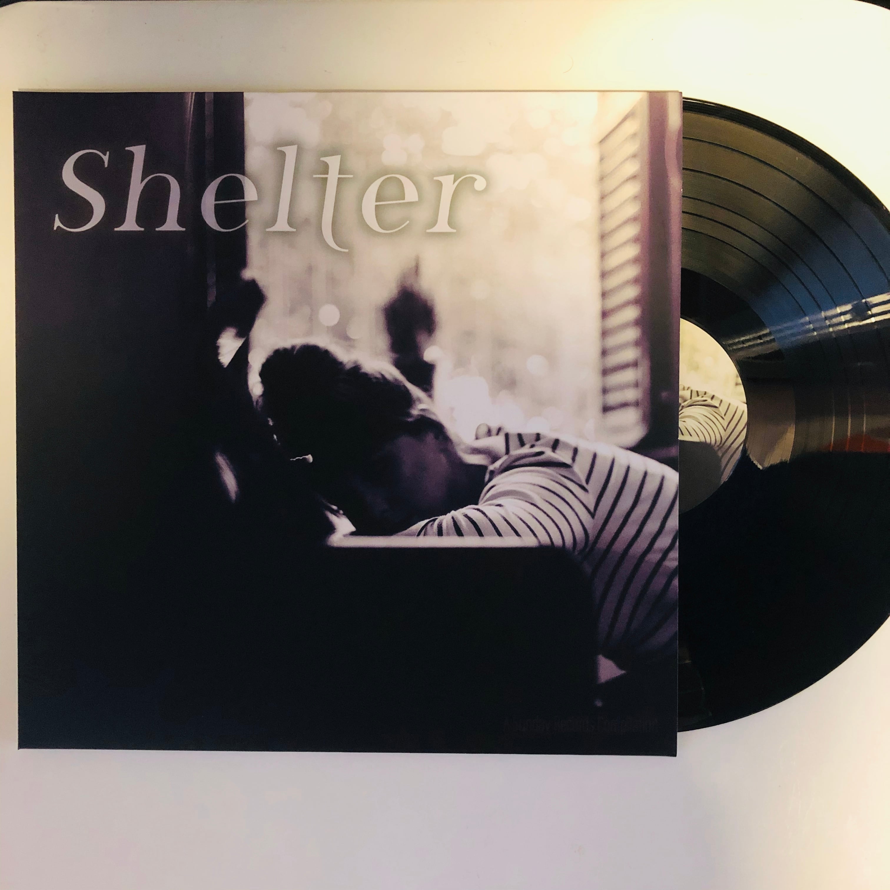 V.A. / Shelter (LP) | TESTCARD RECORDS