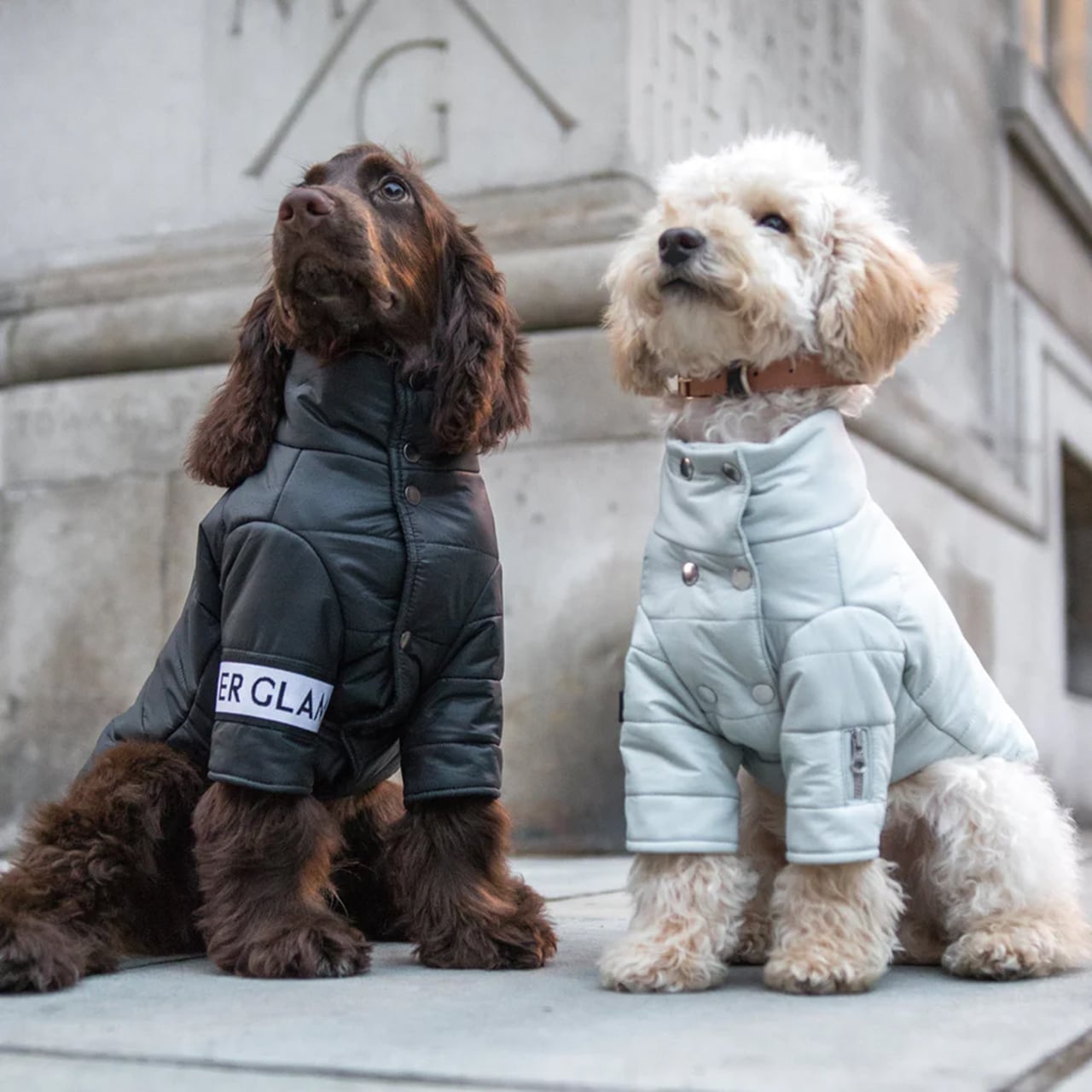 BUTTON UP PUFFER JACKET Black / OVER GLAM