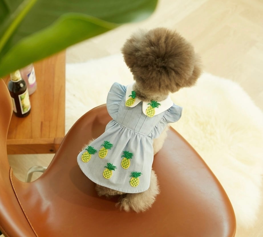 《即納》IL0049 Pineapple Denim Ops