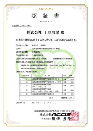 【冷蔵】有機栽培原料　手打ちそば　6人前　そばつゆ付