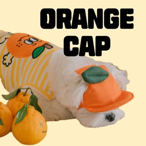 予約【BELELE】Orange Cap